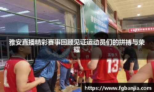 完美体育在线入口官网